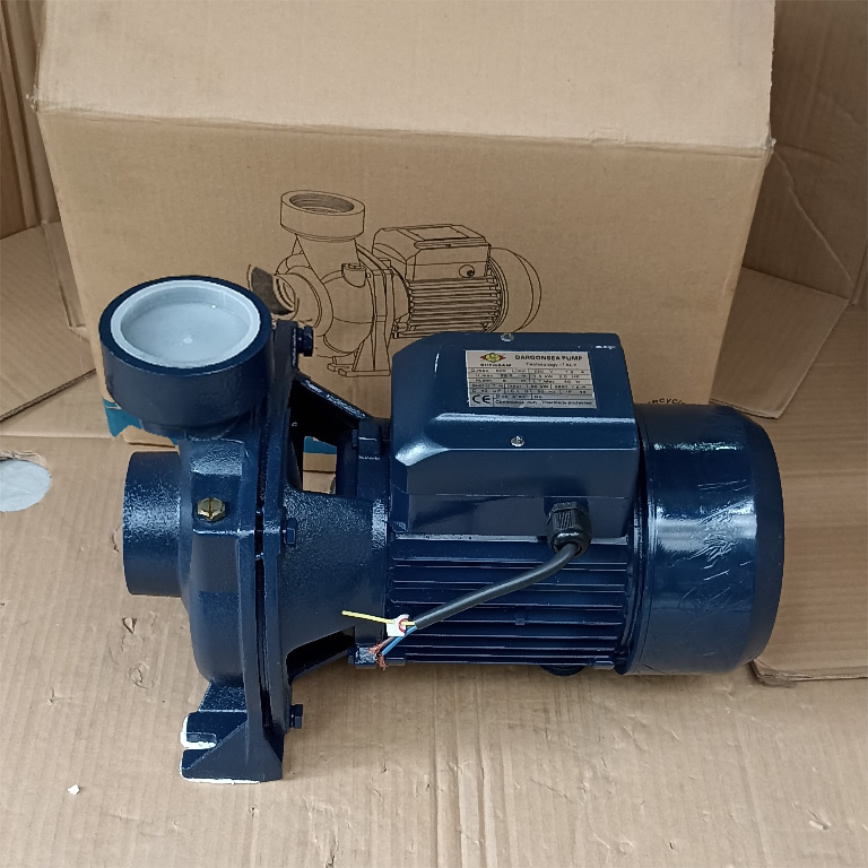 Máy bơm Dragonsea 2HP họng 90 (SHFm6B)