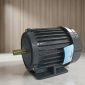 Motor VTC 1.5Hp 380v tua 1450