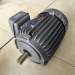 Motor VTC 3Hp 220v tua 1450 (NT300)