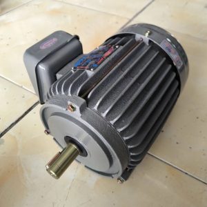 Motor VTC 3Hp 220v tua 1450 (NT300)