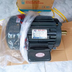 Motor VTC 3Hp 380v tua 960