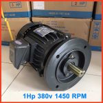 motor-VTC-mat-bIch-1HP-1450RPM
