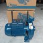 Máy Bơm Pentax CM 164 (1.5Hp)