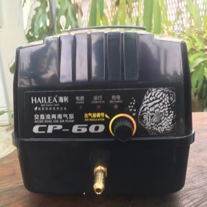 máy bơm oxy tich điện hailea CPA60