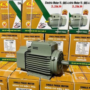 Motor Bảo Long 3Hp tua 1450 (YL100S-4)