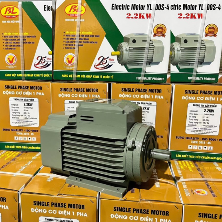 Motor Bảo Long 3Hp tua 1450 (YL100S-4)