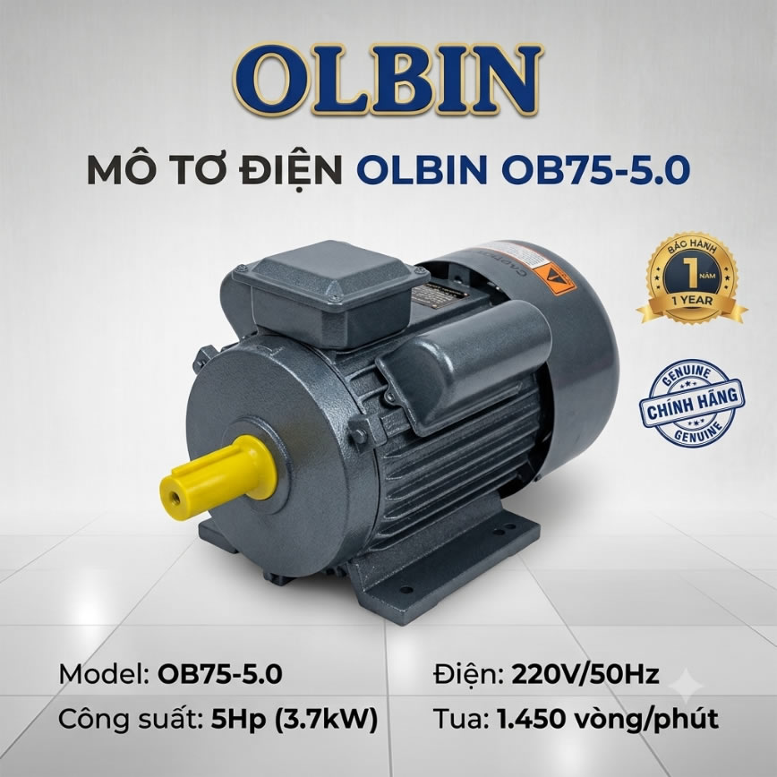 Motor OLBIN OB75-5 (5HP 220V)