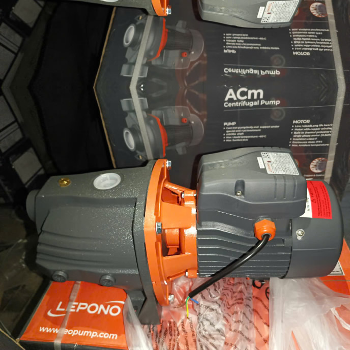 Máy bơm nước đầu lợn 2Hp Lepono AJM-150L